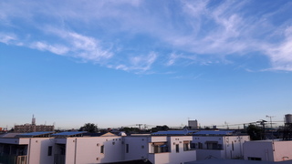 20161006_061143.jpg