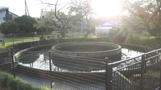 20161006_062519.jpg